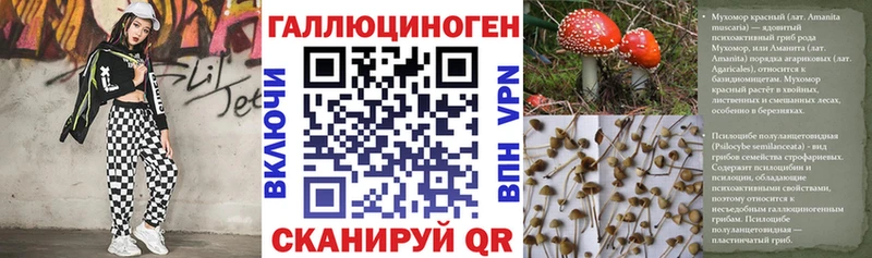цены наркотик  Удачный  Псилоцибиновые грибы Psilocybe 
